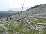 17. Posljedice požara